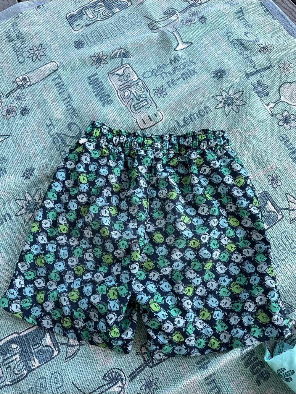 Boys Swim trunk Bundle 3 Shorts - Cat and Jack,Art Class and J. Crew - Size 10